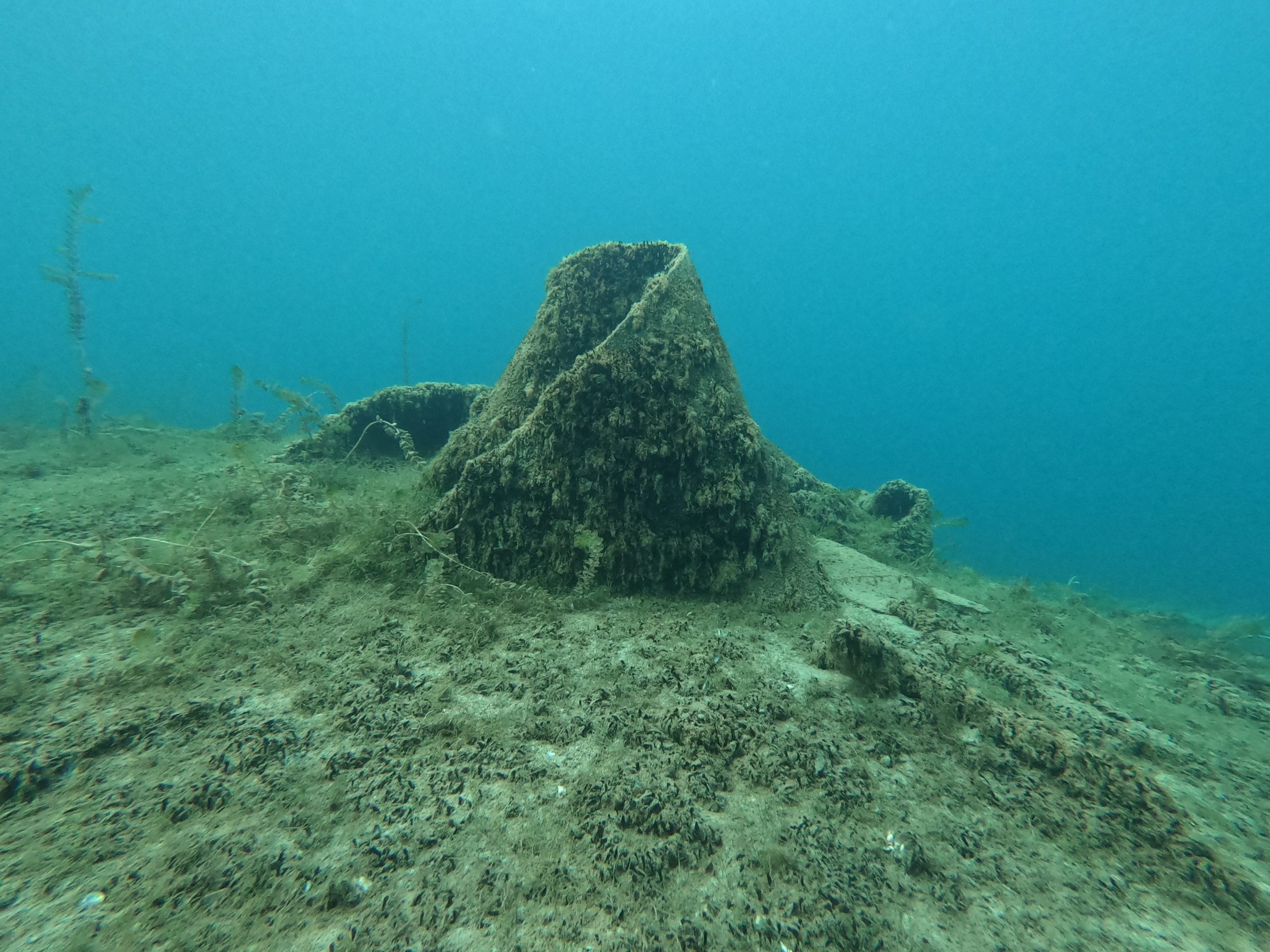 DCIM100GOPROGOPR0289.JPG